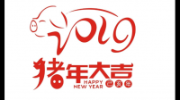 2019，2012，2022，2000，1996，2010，2020，2008，分别是平年是闰年