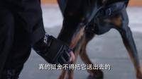 “女警与高智商罪犯的动作冒险警匪电影，结局悬疑”，你觉得剧情如何