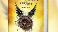 哈利波特8被诅咒的孩子电影完整资源