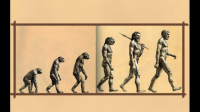 人的思想为什么会一直进步？会退步吗？思想进化是不属于生物学？