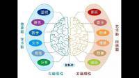右脑发达者有何特征？