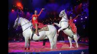 中国马戏团近年来都创造了哪些新节目