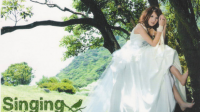 在树上唱歌-郭静  MP3下载链接