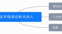 狂风暴雨的天气，我有试过在房间里看恐怖片，是否特别的经历？你们会那么做吗